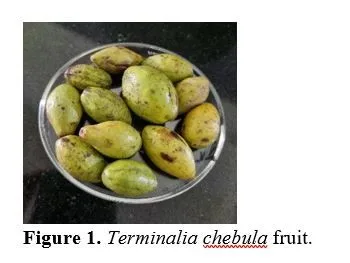 Investigating the Role of Moisture in the Physical Properties of Harra (Terminalia chebula) Fruit 2 figures