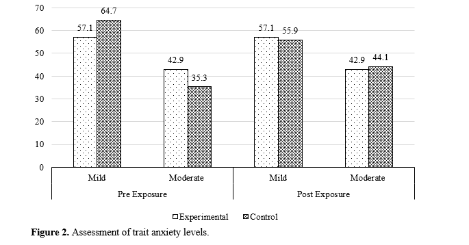 Development and Evaluation of Polymer-based Educational Materials for Reducing Anxiety During MRI Scans 3 figures