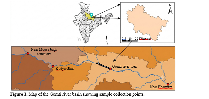 Machine-Learning-Assisted Development of Polymer-Biochar Composite Adsorbents for the Removal of Heavy Metals from Gomti River Water 2 figures