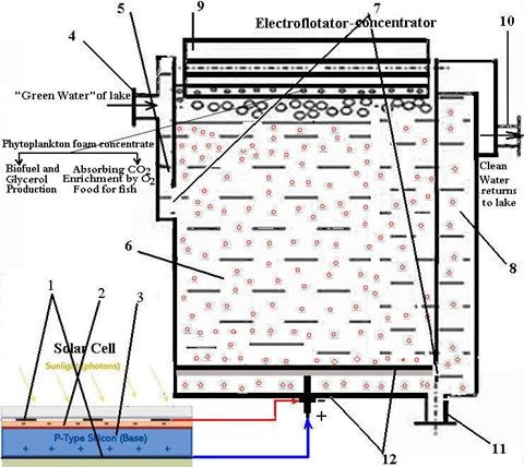 Modeling of the Mechanism of Generating Processes of Water Electrolysis and Photosynthesis with Solar Energy Used for Productions of Gas Oxygen and Hydrogen, of Concentrate of the High-calorie Microalgae Chlorella, and for Industrial Wastewater Treatment 5 figures