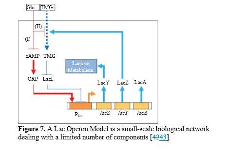Introduction to Biological Networks and their Contributions to Systems Biology 8 figures