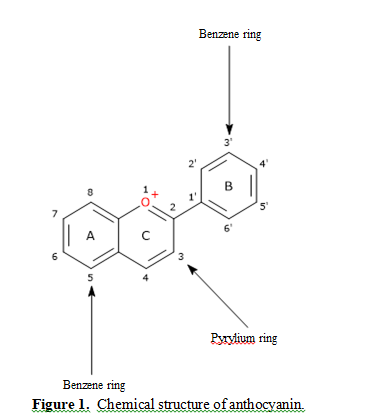 Investigations on Anthocyanin and Its Regulatory Role 2 figures