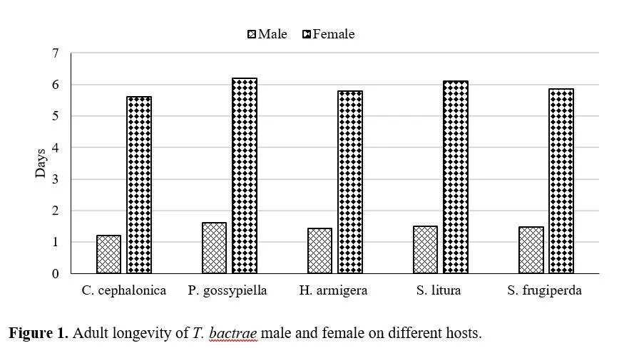Host Suitability of Trichogrammatoidea Bactrae Nagaraja on Different Host Eggs 2 figures