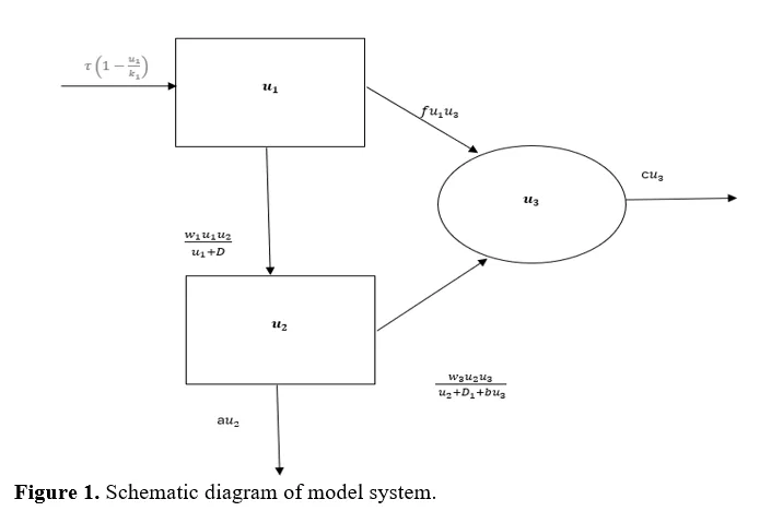 Role of Prey Refuge in Predator-Prey Dynamics with Nonlinear Functional Responses: A Mathematical Approach 2 figures