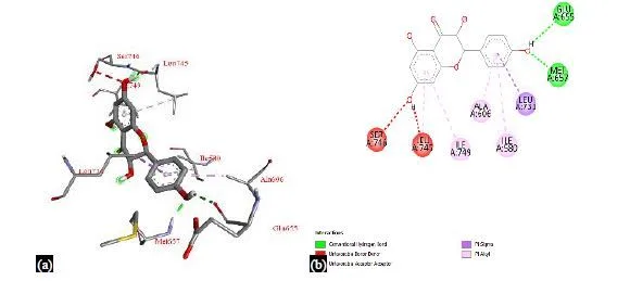 Exploring Potential Phytochemicals for Myasthenia Gravis Treatment: A Molecular Docking and ADME Analysis Approach 7 figures