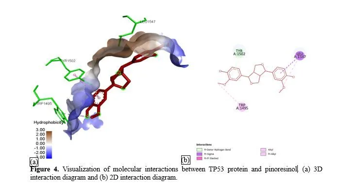 In Silico Exploration of Podophyllum Hexandrum-Derived Phytocompounds as Potential Therapeutics Against Small Cell Lung Cancer (SCLC): A Molecular Docking Approach 5 figures