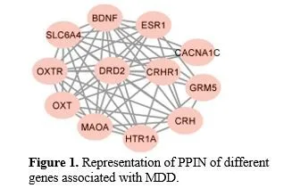 Unveiling Nature’s Potential: In Silico Exploration and Identification of Herbal Remedies for Major Depressive Disorder Through Molecular Interaction Studies 2 figures
