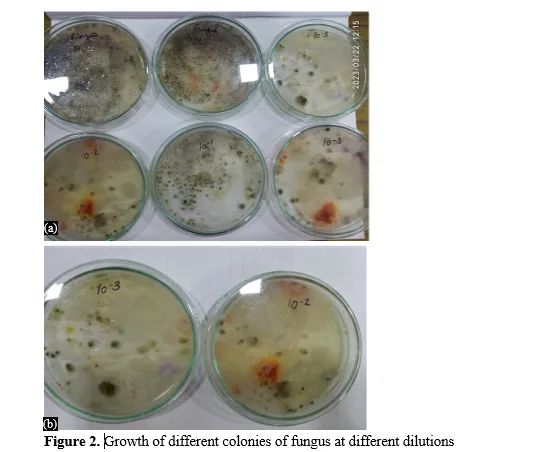 Biodegradation of Plastic Waste Using Various Fungal Isolates from Plastic-Polluted Sites in Meerut: Analysis of Polymers and Composites 3 figures