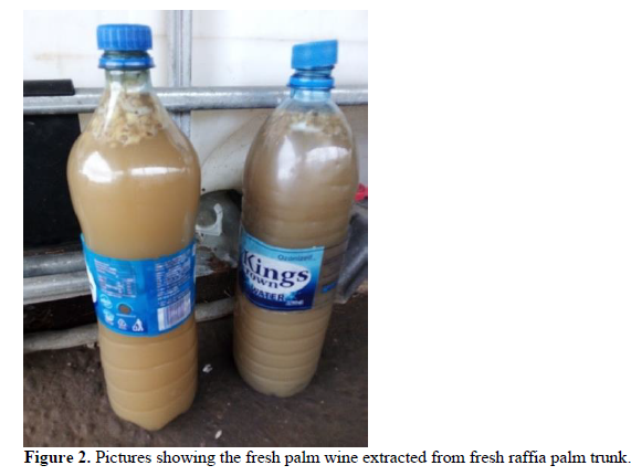 The Influence of Fresh Raffia Palm Trunk on the Bioremediation of Oil-Based Drill 3 figures