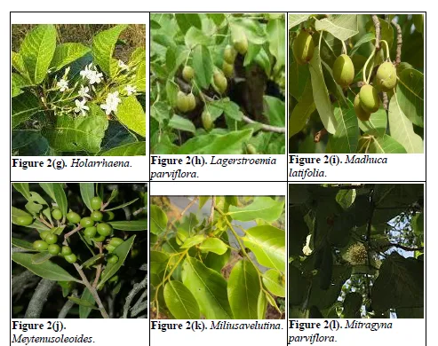 Review Paper of the Rich Floral and Faunal Diversity in Chhattisgarh, India 4 figures