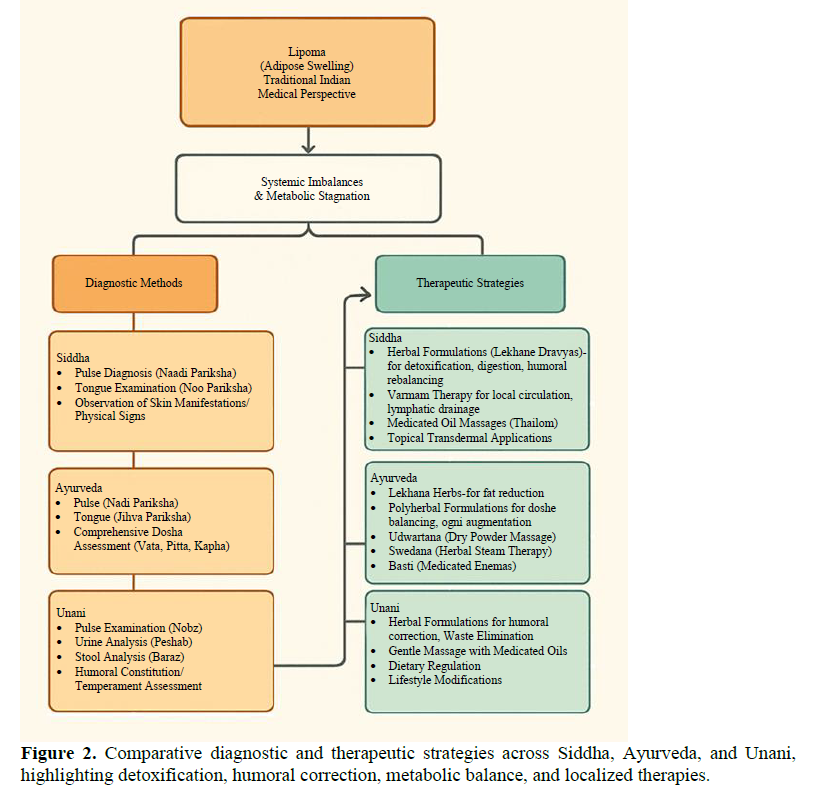 Integrative Perspectives on Lipoma: Traditional Therapeutics from Siddha, Ayurveda, and Unani with Biomedical Correlates 3 figures