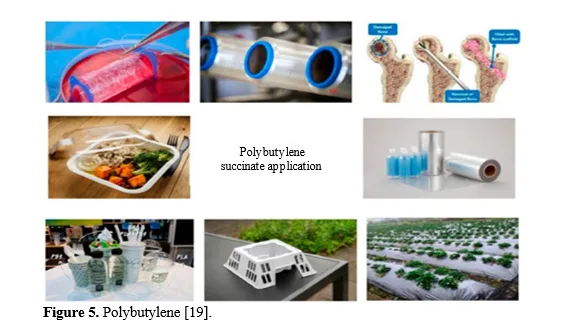 Eco-Friendly Innovations: A Review of 3D Printing with Biodegradable Filaments. 6 figures