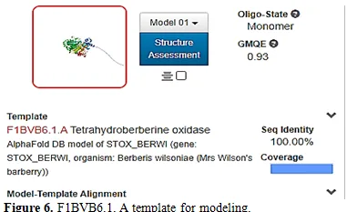 InSilico Analysis and Homology Modeling of Tetrahydroprotoberberine Oxide involved in the Berberine Biosynthesis 7 figures