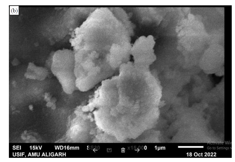 A Comparative Study of Zinc Oxide Nano Particles Synthesized by Hydrothermal, Sol-gel and Thermal Decomposition 6 figures