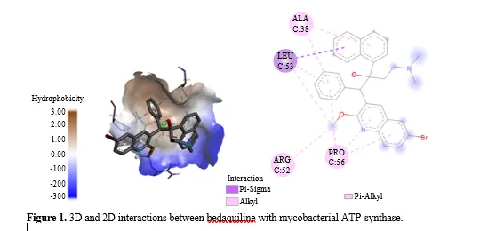 Molecular Docking Studies for the Identification of Mycobacterial Adenosine Triphosphate (ATP) Synthase Inhibitors Using Active Phytocompounds from Plants Curcuma longa, Curcuma zedoaria and Galipea officinalis 2 figures