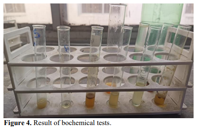 Exploring the properties and extraction of neem leaves 5 figures