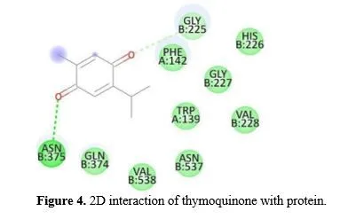 Computational Exploration of Bhrijraj-derived Phytochemicals as Potential Anti-inflammatory Agents: A Molecular Docking Study with Cyclooxygenase-II Complex 5 figures