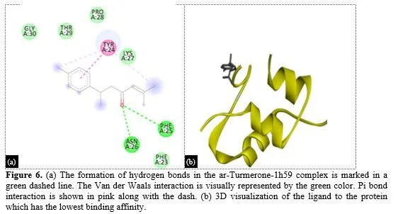 Multitarget Molecular Docking Using Curcuma longa Phytocompounds for Polycystic Ovary Syndrome Treatment 7 figures