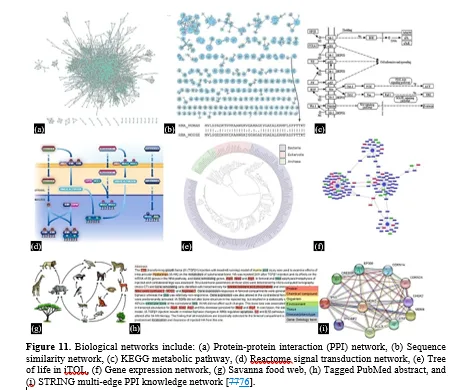 Introduction to Biological Networks and their Contributions to Systems Biology 12 figures