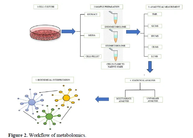 Metabolites in Modern Medicine: Decoding the Future of Health and Diseases 3 figures