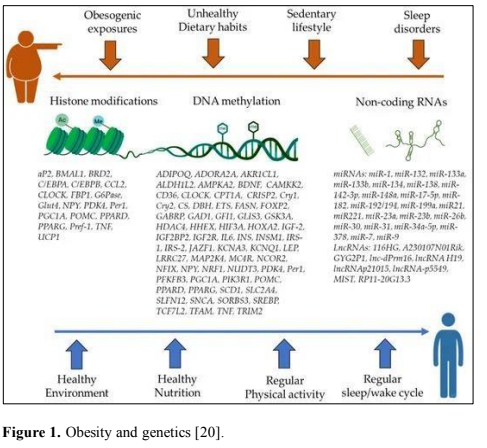 Multifactorial Diseases Becoming the Epigenetic Factor for the Genz 2 figures
