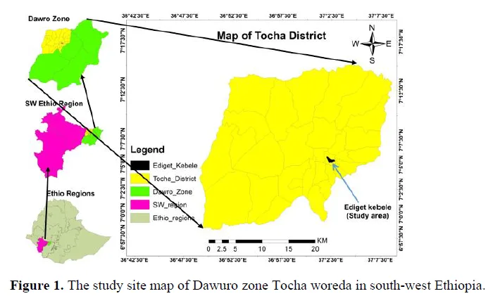 Evaluating the Effect of NPSB Fertilizers on Barely (Hordeum vulgare L.) Production and Productivity at Tocha Woreda, Southwest Ethiopia. 2 figures