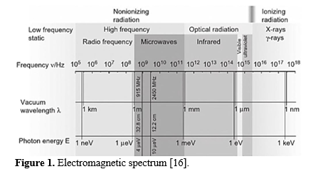 Microwave Processing of Foods: Applications and Future Perspectives 2 figures