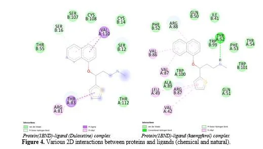 Unveiling Nature’s Potential: In Silico Exploration and Identification of Herbal Remedies for Major Depressive Disorder Through Molecular Interaction Studies 6 figures