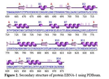 Computational Analysis of Tinospora Cordifolia Phytochemicals as Potential Inhibitors of BRCA1-BRCT Domain Interaction in Breast Cancer 3 figures