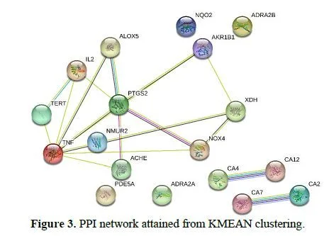 Integrating Network Pharmacology and Molecular Docking to Assess Rutin’s Pharmacological Properties 4 figures
