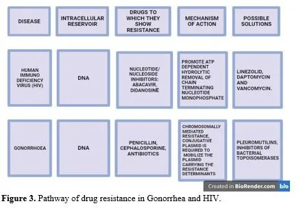 Breakthroughs in Biotechnology for the Regulation of Infectious Diseases 4 figures