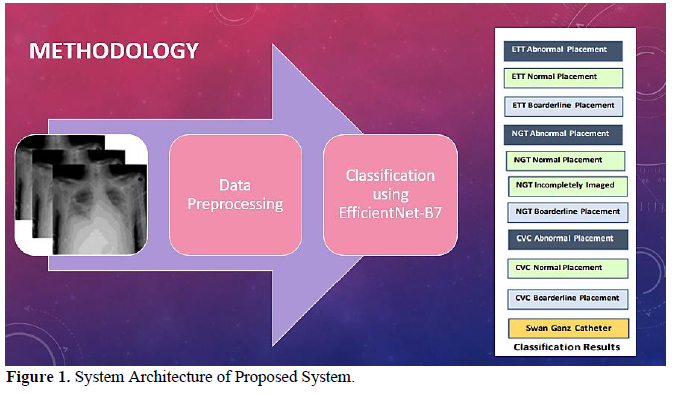 Automatic Detection of Misplaced Tubes and Catheters Using EfficientNet B7 2 figures
