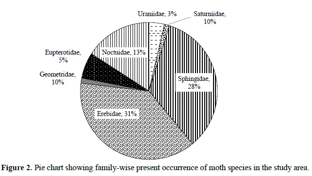 Exploring Moth Diversity in the Ecosystem of Mangalore University Campus, Karnataka 3 figures