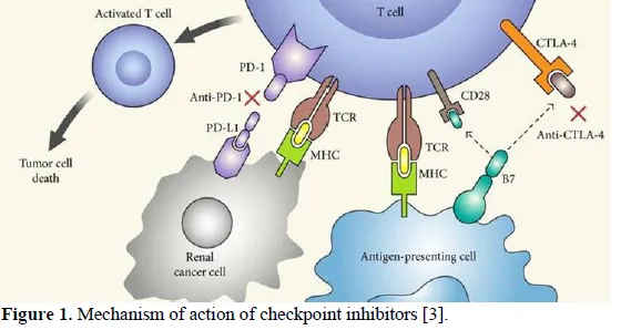 Immunotherapy Advancements in Cancer Treatment 2 figures