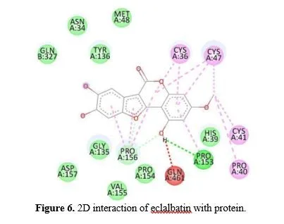Computational Exploration of Bhrijraj-derived Phytochemicals as Potential Anti-inflammatory Agents: A Molecular Docking Study with Cyclooxygenase-II Complex 7 figures