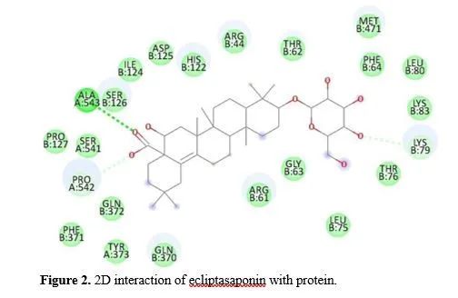 Computational Exploration of Bhrijraj-derived Phytochemicals as Potential Anti-inflammatory Agents: A Molecular Docking Study with Cyclooxygenase-II Complex 3 figures