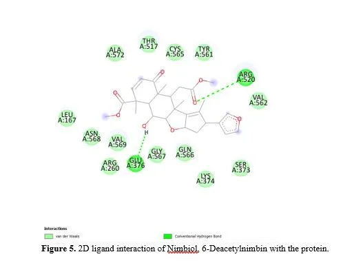 Exploring Azadirachta indica’s Potential to Combat Visceral Leishmaniasis Through GP63 Inhibition 6 figures