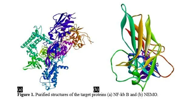 Molecular Pharmacokinetics and Structural Docking of Phenolic Acids for Targeting NF-κB Pathway Components in Inflammation and Fibrosis: A Computational Approach Toward Therapeutic Discovery 2 figures