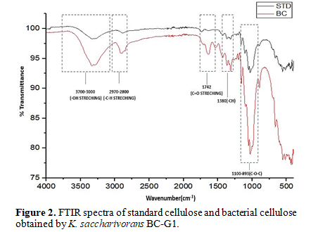 Characterization of Cellulose Producing Bacterial Isolates from Rotten Fruits 3 figures