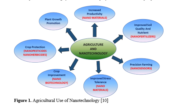 Nanotechnology and Nanoparticles for High Altitude Agro-ecosystem and Environmental Sustainability 2 figures