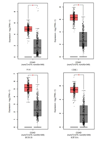 Gene prioritization of colorectal cancer using computational approach 4 figures
