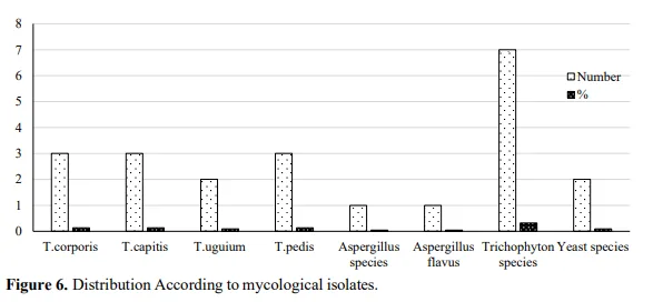 Epidemiology and Mycological Analysis of Superficial Mycosis in a Northern Indian Tertiary Care Hospital 7 figures
