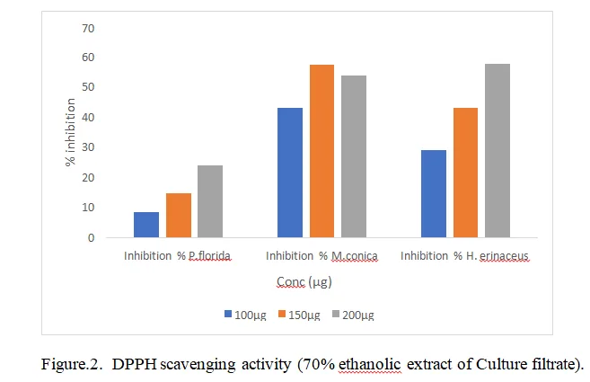 Evaluation of Antioxidant and Cytotoxic activities of Mycelia Biomass and Culture broth of three Edible Mushrooms, Morchella conica, Hericium erinaceus and Pleurotus florida Grown in Submerged Culture 3 figures