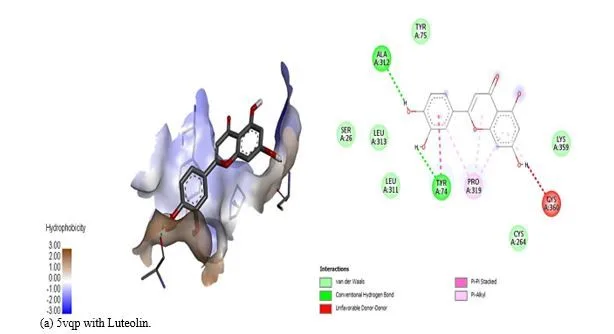 Computational Screening of Vitex negundo Compounds for Potential Arthritis Therapies in India 14 figures