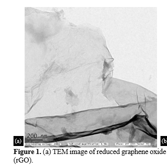 Dielectric Properties of Reduced Graphene Oxide with Nickel Cobalt Ferrite and Nickel Zinc Ferrite Epoxy Nanocomposites 2 figures