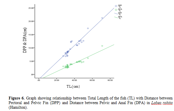 Studies On The Length-Weight Relationship And Morphometric Characteristics of Rohu, Labeo Rohita (Hamilton) From Pond In Radhamohanpur, Jirania, Tripura, India 7 figures