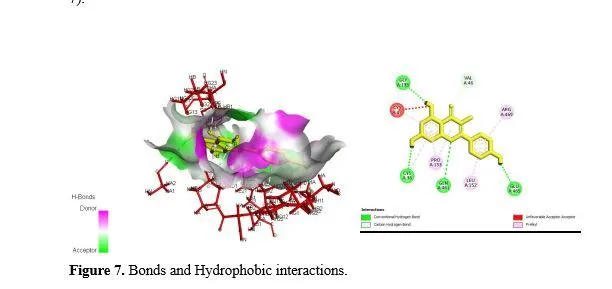 In Silico Analysis and Molecular Docking Studies of COX-2 Inhibitors for Anti-Inflammatory Activity 8 figures