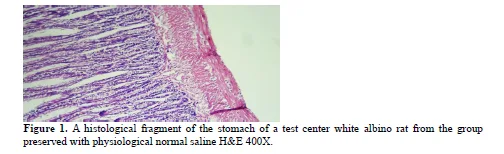 Histological Effects of Nano-Synthesized Particles of Nagilla Sativa Seeds Extract on Digestive System of Male Albino Mice 2 figures