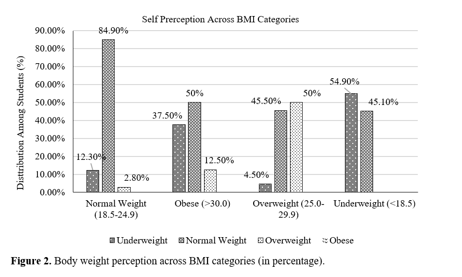 Body Weight Patterns and Lifestyle Behaviors Among Male College Students in Kangra District, Himachal Pradesh: A Cross-Sectional Study 3 figures