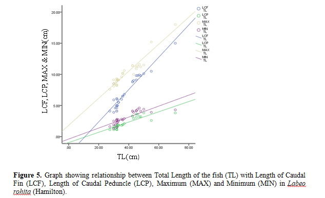 Studies On The Length-Weight Relationship And Morphometric Characteristics of Rohu, Labeo Rohita (Hamilton) From Pond In Radhamohanpur, Jirania, Tripura, India 6 figures